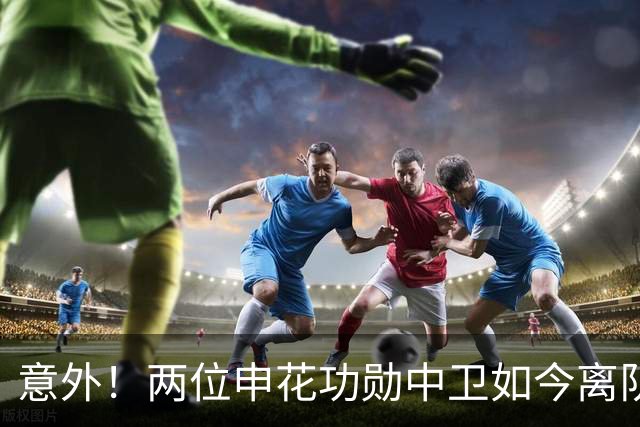 意外！两位申花功勋中卫如今离队后在中乙俱乐部再聚首，引发热议