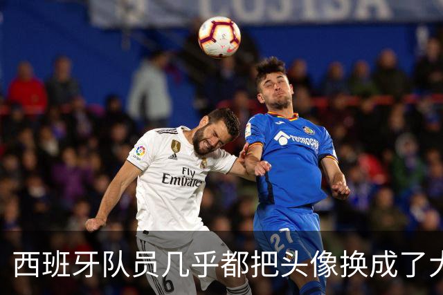 西班牙队员几乎都把头像换成了大力神杯照片，除了一位中二小孩