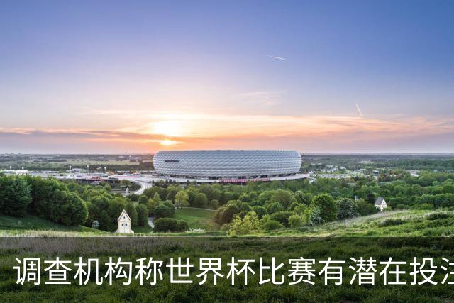调查机构称世界杯比赛有潜在投注异常，包括西班牙平佛得角、巴洛贡染红