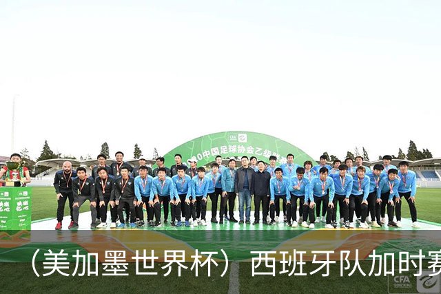 （美加墨世界杯）西班牙队加时赛1:0绝杀阿根廷队 夺得世界杯冠军