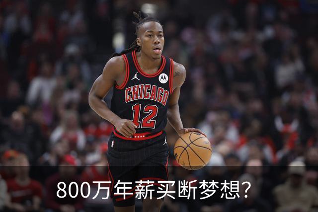 800万年薪买断梦想？