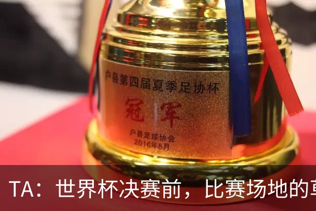 TA：世界杯决赛前，比赛场地的草皮质量成为焦点话题